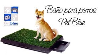 Baños para perros Pet Blue  Unicaspe [upl. by Carrew549]