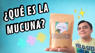 Mucuna ¿Qué es la mucuna🚀❤ Beneficios de la mucuna ¿Para qué sirve Mucuna RecetasConMucuna [upl. by Nyleimaj]