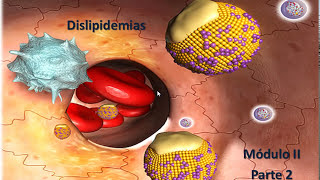 Dislipidemias mod 2 Parte 2 Dislipidemias Primarias 1 [upl. by Nnylirak]