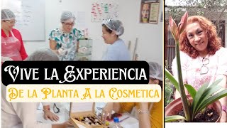 Vive la Experiencia de Crear Tu Propia Cosmética desde el Origen Natural PamelaRuizAromaterapia [upl. by Satsok]