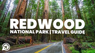 REDWOOD NATIONAL PARK Travel Guide [upl. by Keyser]