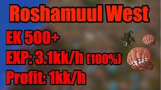 Roshamuul west  EK 500 exp 31kkh 100 amp Profit 1kkh [upl. by Ivett980]