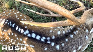 MTN OPS TEXAS AXIS DEER HUNT DAY 1 [upl. by Devina324]