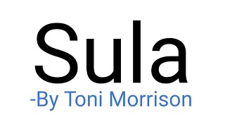 Sula Novel by Toni Morrison Summary explanation and full analysis in hindi [upl. by Russia144]