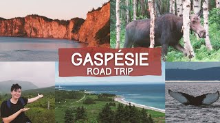 Gaspésie  Road trip [upl. by Naitsirt]