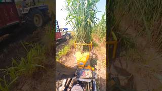 JFC120 Super Napier Harvesting napiergrass [upl. by Elcarim]