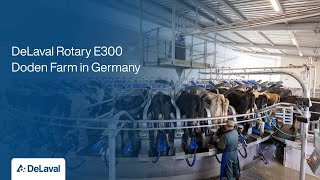 DeLaval Rotary E300  Doden Farm in Germany  DeLaval [upl. by Madson]