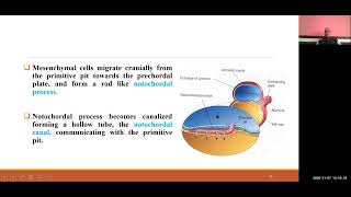 BDS I 404 I ORTHODONTICS I Growth and development of craniofacial region Embryology I DR R P MAURYA [upl. by Nate]