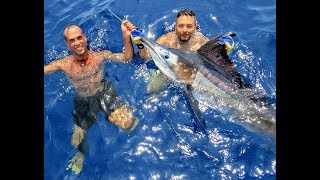 Marlin Branco e Marlin Azul  Solturas  Catch and Release  RJ  Brasil  Leogafanha [upl. by Earl]