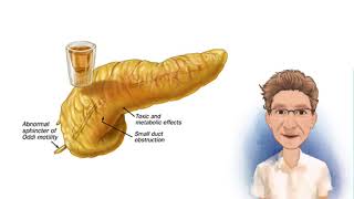 FISIOPATOLOGÍA DE LA PANCREATITIS [upl. by Ressler]