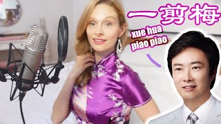 Xue Hua Piao Piao Yi Jian Mei AMERICAN GIRL Cover 《一剪梅》翻唱 [upl. by Danila]