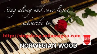 Norwegian Wood with lyrics [upl. by Krasner]