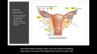 OB GYN 1 [upl. by Niuqram]