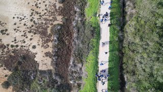 Ação de Limpeza  Ecovia da Ria Formosa  Fuzeta  Escola Azul AEFFL [upl. by Enelyk]