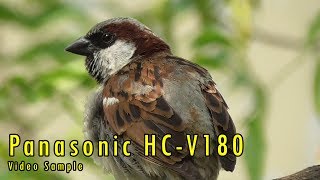 Panasonic HCV180 Full HD Camcorder Video Test Sample Video [upl. by Liarret]