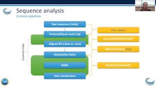 Webinar Epigenetics Part I – Bisulfite Sequence Analysis and Adenosine to Inosine Modifications [upl. by Eidissac]