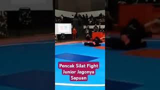 Pencak Silat Fight Junior Jagonya Sapuan dennywewey9649 [upl. by Otrebtuc]