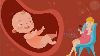 🎵🎵🎵 Pregnancy music for unborn baby ♥ Brain development ♥ Baby kick in the womb 🎵🎵🎵 [upl. by Ahsieki]