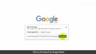 How to Search by Image on Google Tutorial [upl. by Kleon]