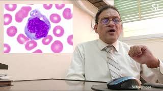 WBCs in blood smear كيف تتعرف على خلايا الدم البيضاء تحت الميكروسكوب [upl. by Nabila]