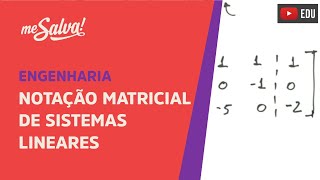 Me Salva ALG02  Álgebra Linear  Notação Matricial de Sistemas Lineares [upl. by Nosreip]