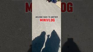 Minivlog 89 youtube trending vlogger vlog vlogging shorts youtubeshorts [upl. by Tugman527]