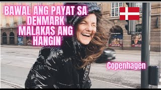 COPENHAGEN CITY CAPITAL OF DENMARK philippines travel copenhagen denmark europe india [upl. by Mcevoy]