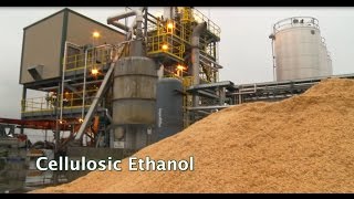 Renewable Biofuels and Biochemicals Cellulosic Ethanol [upl. by Lenci]