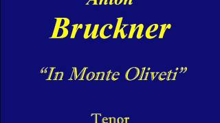 Tenor Bruckner In Monte Olivet [upl. by Amato212]