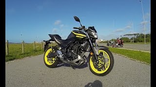 YAMAHA MT 03  UM CANHÃO 300CC [upl. by Lezned]