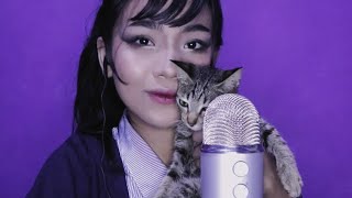 ASMR with cats 𓃠 [upl. by Borries159]