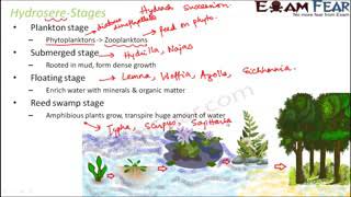 Biology Ecology Hydrosere Stages Class 09 [upl. by Sregor188]