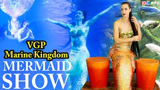 VGP Marine Kingdom Mermaid Special Show  Celebrate New Year 23 With Mermaid Fish  IBC Tamil [upl. by Ardaid854]