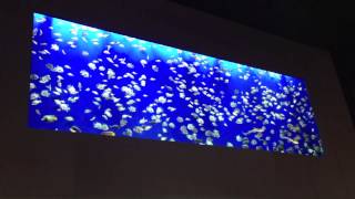 Breitling Fish Tank Baselworld 2013 [upl. by Etteinotna266]