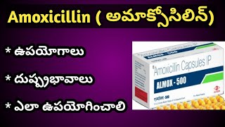 Doctor explains HOW TO USE AMOXICILLIN aka Amoxil  Respillin including doses and side effects [upl. by Onateag]