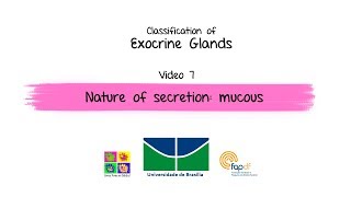 Histology of exocrine gland  salivary glands with easy identification technique [upl. by Audri]