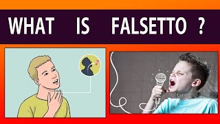 What is FALSETTO  FALSE VOCAL REGISTER  EXPLAINED with Example  James Blunt  You are Beautiful [upl. by Enomor]