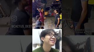 Thử thách nhịn cười phần 532 chutanreaction funnyvideo giaitri reaction [upl. by Aropizt]