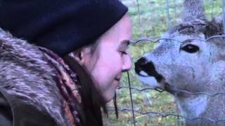 Tierparadies Schabenreith Ein Leben danach für misshandelte Tiere [upl. by Kcirtemed868]