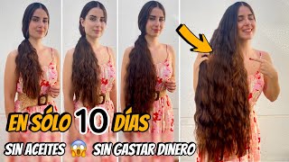 CABELLO LARGO EN 10 DÍAS CON SOLO 1 INGREDIENTE MÁGICO SIN ACEITES✅ [upl. by Ayhtin450]