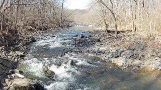 Trout Fishing Little Patuxent River Maryland [upl. by Hyozo]