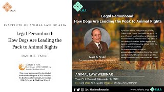 Legal Personhood How Dogs Are Leading the Pack to Animal Rights [upl. by Grete]