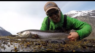 SjøørretFiske på Vestlandet Flyfishing Norwegian fjords Neteland Production HD [upl. by Cummings249]