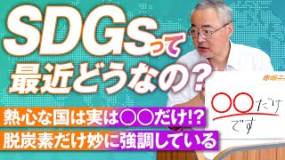 SDGsの成果と現状はどうなの？熱心に実行しているのは◯◯だけだった 杉山大志【赤坂ニュース163】参政党 [upl. by Tedmann]