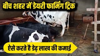 इस तरीके से शहर में रहकर कमाते है अच्छा मुनाफाdairy farm biharhf cross cowsmall dairy farm [upl. by Sheaff]