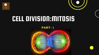 AMITOSIS CELL DIVISION [upl. by Chester]