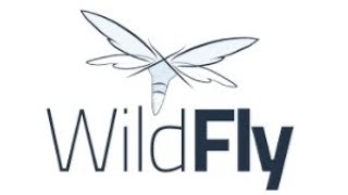 Implementación de Dominio de Servidores Wildfly sobre servidores CentOS 7 [upl. by Rehtaef370]