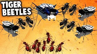 GIANT TIGER BEETLES amp Army Ant Swarm IMPOSSIBLE Empires of the Undergrowth Gameplay [upl. by Rashida642]