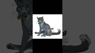 Museau cendrée coeur cendré lgdc warriorcats cat edit [upl. by Diandra]