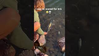 Have you ever lipped a pike 💀 pikefishing bassfishing fishing nature trending viralvideo [upl. by Boy716]